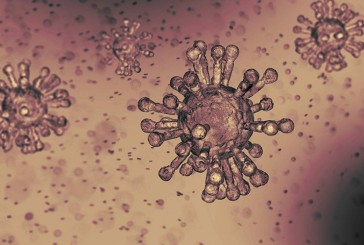آمازون کالاهای مدعی درمان ویروس کرونا را حذف می‌کند