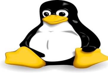 آسیب پذیری هسته لینوکس (linux kernel)