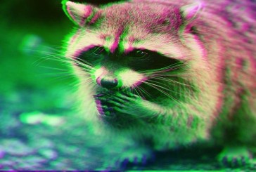 انتشار بدافزار Raccoon