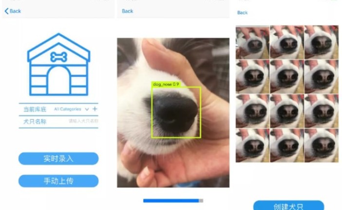 استارتاپ چینی اپلیکیشنی برای شناسایی سگ‌ها از طریق اثر بینی طراحی کرد