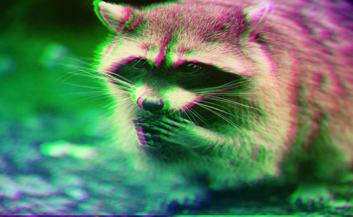 انتشار بدافزار Raccoon