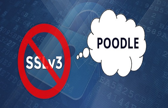شناسایی آسیب پذیری Poodle