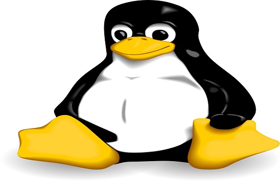 آسیب پذیری هسته لینوکس (linux kernel)