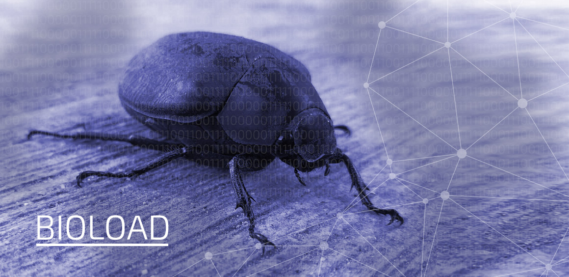 BIOLOAD ابزار جدید گروه FIN۷