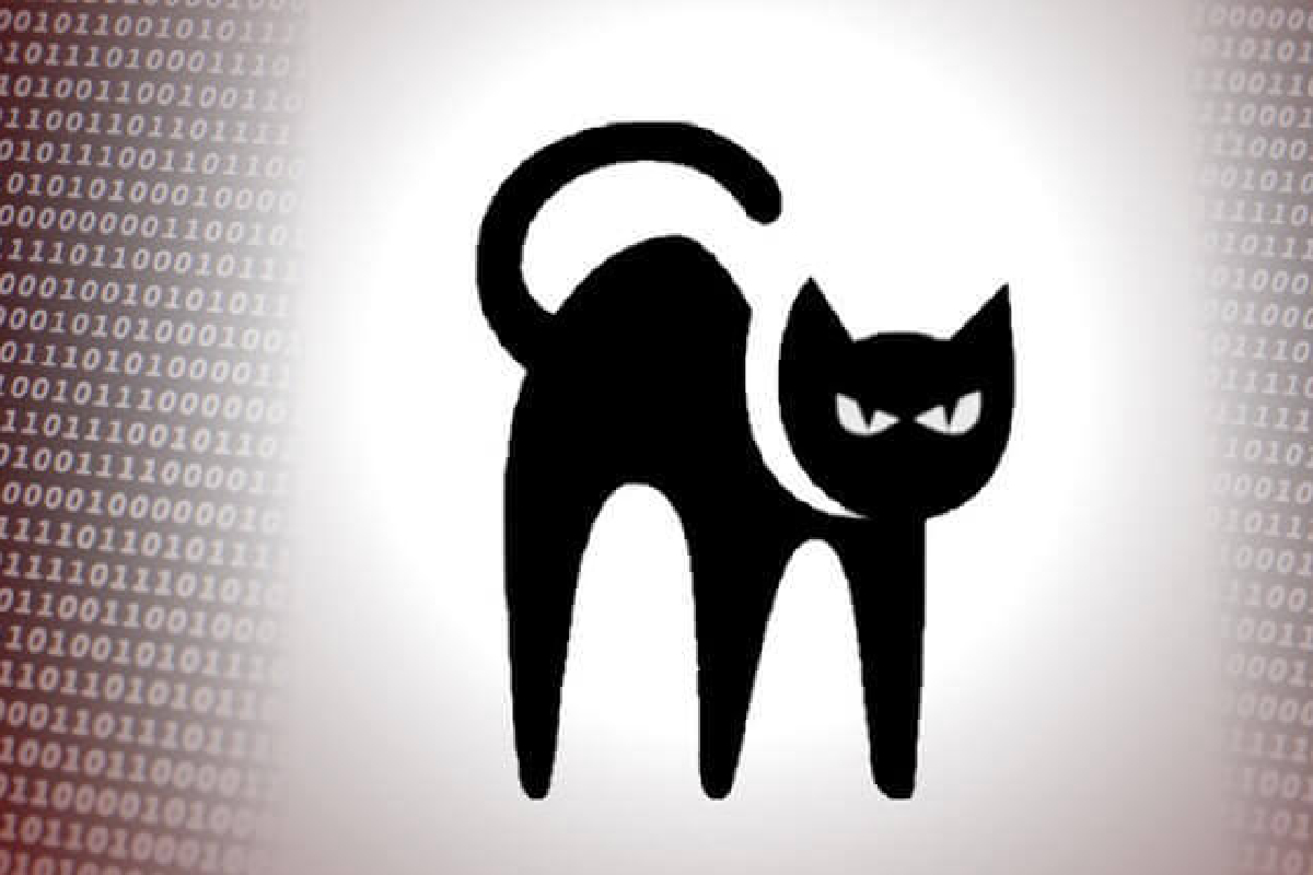 BlackCat فعالیت‌هایش را گسترش می‌دهد